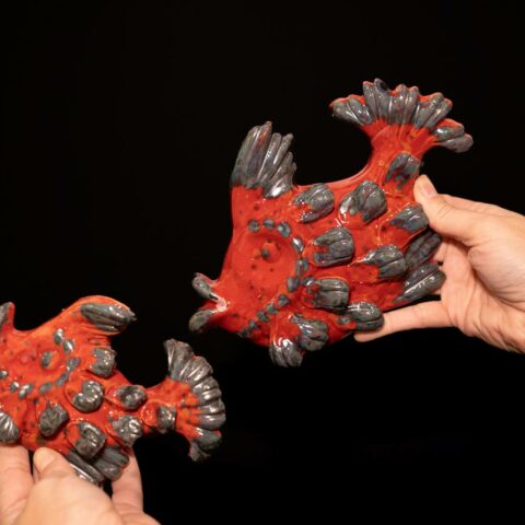 pesce-grande-pesce-piccolo